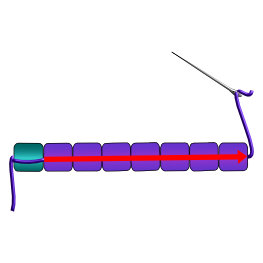 Odd count peyote stitch instructions